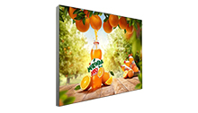 Indoor Wall-mounted SEG Light Box
